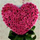 Send Pink Rose Beauty Flowers to Ulhasnagar Send Pink Rose Beauty Flowers to Ulhasnagar