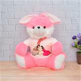 Send Personalised Pink Rabbit Soft Toy Personalized Gifts to Nadiad Send Personalised Pink Rabbit Soft Toy Personalized Gifts to Nadiad