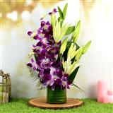 Send 5 Purple Orchids & 3 Stems Lilies with Glass Vase Flowers to Vadnagar Send 5 Purple Orchids & 3 Stems Lilies with Glass Vase Flowers to Vadnagar
