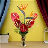 Send 5 Red Anthurium & 2 Big Bird in a Glass Vase Flowers to Mehsana Send 5 Red Anthurium & 2 Big Bird in a Glass Vase Flowers to Mehsana