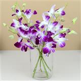 Send Purple Orchid in a Vase Flowers to Hooghly Send Purple Orchid in a Vase Flowers to Hooghly