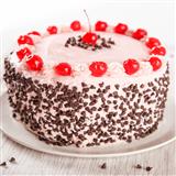 Send Chocolate Cherry Cake with Chocolate Chips - 1 Kg Cakes to Sangrur Send Chocolate Cherry Cake with Chocolate Chips - 1 Kg Cakes to Sangrur