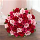Send 36Pcs Pink and Red Roses Bouquet Flowers to Bhopal Send 36Pcs Pink and Red Roses Bouquet Flowers to Bhopal