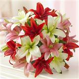 Send 18Pcs Pink White and Red Lilies Bouquet Flowers to Umreth Send 18Pcs Pink White and Red Lilies Bouquet Flowers to Umreth