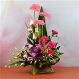 Send Elegant Carnation Lily Basket Flowers to Sunav Send Elegant Carnation Lily Basket Flowers to Sunav