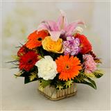 Send Neat Basket of Flowers Flowers to Bhaktal Send Neat Basket of Flowers Flowers to Bhaktal