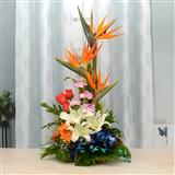 Send Serene Flowers Basket Flowers to Bhaktal Send Serene Flowers Basket Flowers to Bhaktal