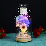 Send Love Bottle With Personal Message & LED Home Decor to Solapur, Karnataka Send Love Bottle With Personal Message & LED Home Decor to Solapur, Karnataka