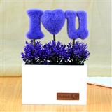 Send Purple I Love You Bonsai Set Home Decor to Jhunjhunu Send Purple I Love You Bonsai Set Home Decor to Jhunjhunu