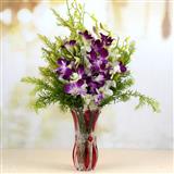 Send Assorted Exclusive Orchids Flowers to Gangtok Send Assorted Exclusive Orchids Flowers to Gangtok