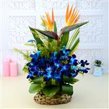 Send Exotic Orchids Flowers to Gangtok Send Exotic Orchids Flowers to Gangtok