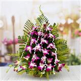 Send Ravishing Orchids Flowers to Gangtok Send Ravishing Orchids Flowers to Gangtok
