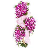 Send Beautiful Orchids Flowers to Dholera Send Beautiful Orchids Flowers to Dholera