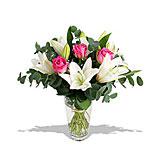 Send Enchantment Flowers to Udhampur Send Enchantment Flowers to Udhampur