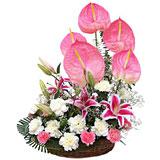 Send Mixed Emotions Flowers to Quepem Send Mixed Emotions Flowers to Quepem