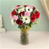 Send Picture of Innocence Flowers to Bhaktal Send Picture of Innocence Flowers to Bhaktal