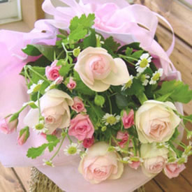 Send Charming Roses to Hyderabad