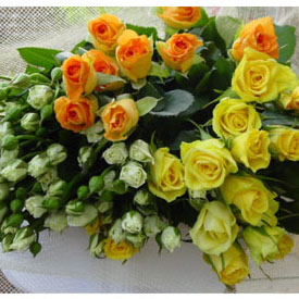  Mixed Roses 