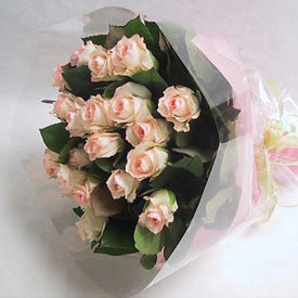 Peach Roses Spray