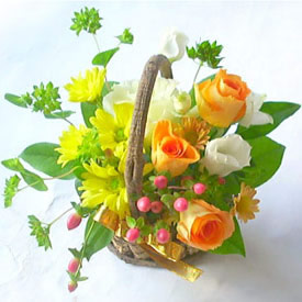  Send Morning Dear Mumbai 