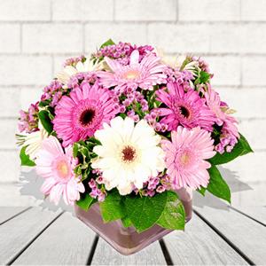 Send Assorted Pink Gerbera Bouquet to Hyderabad