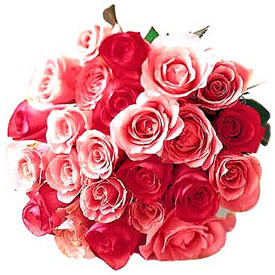  Send 12 Mixed Roses Bunch Bangalore