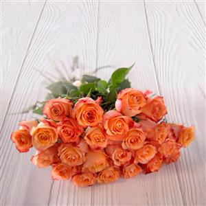 Send 24 Roses Bunch to Hyderabad