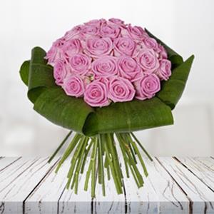 Pink Splendor