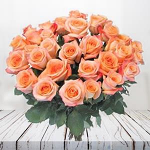 Peach colored Roses in Full Bloom