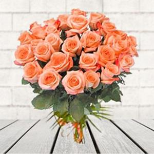 Exotic Peach Roses