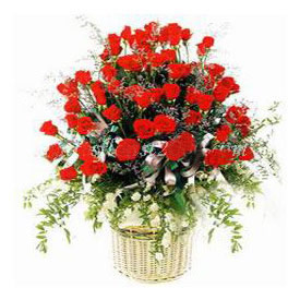  Send 50 Red Roses Basket India