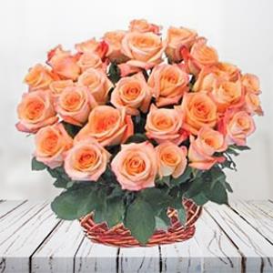 Send 50 Peach Roses Basket Hyderabad