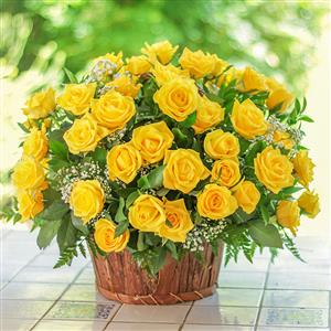 Send 200 Roses Basket to Hyderabad