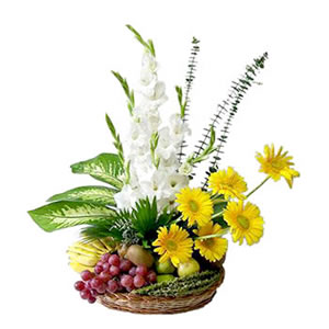  Flora Fruits 