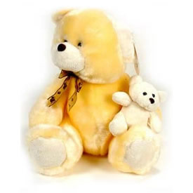 Send Pair Teddy to Hyderabad