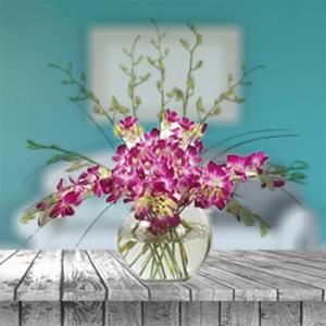 Send 12 Orchids in a Vase to Bangalore