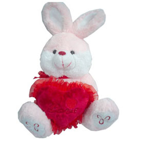Send Love Bunny to Hyderabad