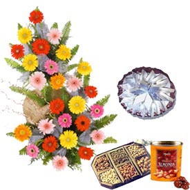 Send Essence Of Life to Hyderabad