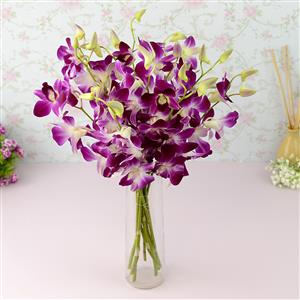 Send Mistine Dendrobium Orchids to Hyderabad