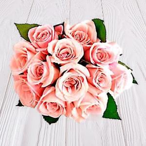 12 Alluring Peach Roses