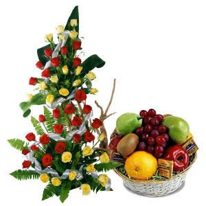  Send Fresh and Healthy Mumbai 