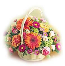 Send Fresh Surprise to Hyderabad