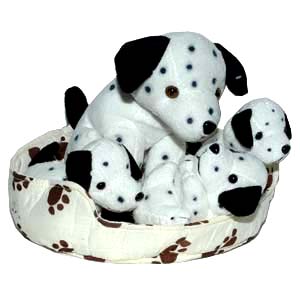 Cute Dalmatians