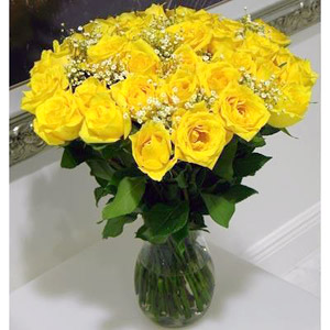  Glorious Yellow 