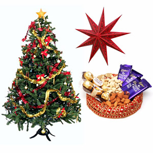 essay on christmas celebration in india essay on christmas celebration in india