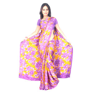 Colorful and Vibrant Saree