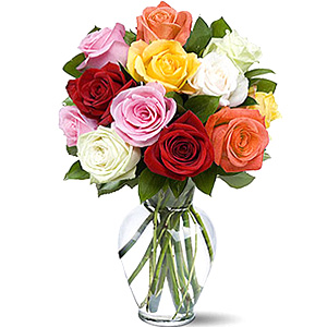  Mixed Roses for You 