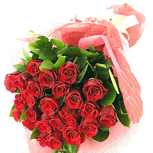  Send Enchanting Rose Bunch Mumbai 