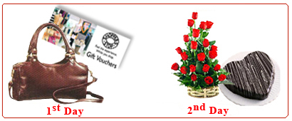  Send 1st Day- Ladies  bag(Delightful), Shoppes Stop Gv Rs.500/-, 2nd Day-25 Red Rose Basket,1/2 Kg Chocolate cake Mumbai 