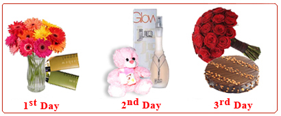  Send Best Mom in the World - (1st Day-12 Gerbera in Vase, 5 Cadbery Temptation Bar, 2nd Day- Jennifer Glow Perfume, 6 inch Teddy, 3rd Day- 20 Rose Bunch,1/2 kg Chocolate cake) Mumbai 